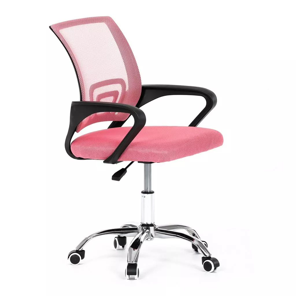 Chaise de Bureau Ergonomique avec Support Lombaire