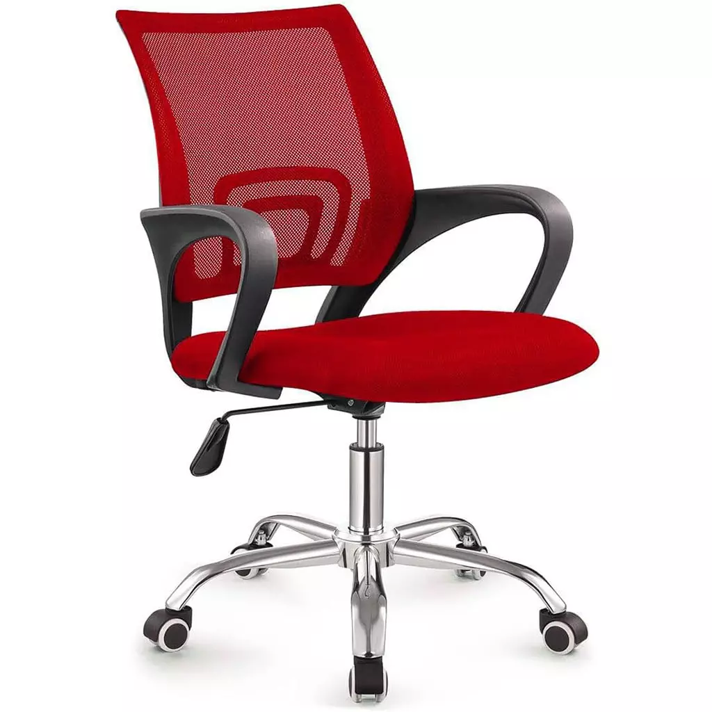 Chaise de Bureau Ergonomique avec Support Lombaire